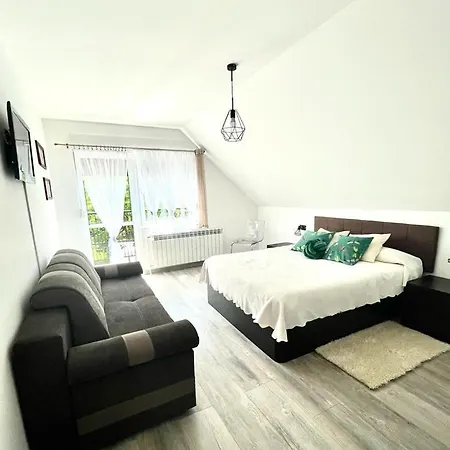 Farm stay U Gosi Zator